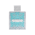 Rayhaan Aquatica perfume sample decant travel-size spray for men