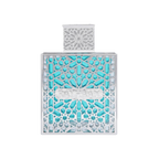 Rayhaan Aquatica perfume sample decant travel-size spray for men